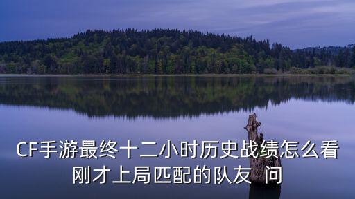 CF手游最终十二小时历史战绩怎么看刚才上局匹配的队友 问
