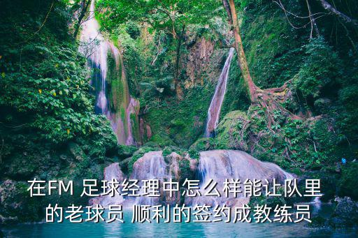 fm足球经理手游国家队怎么招人，在FM 足球经理中怎么样能让队里 的老球员 顺利的签约成教练员