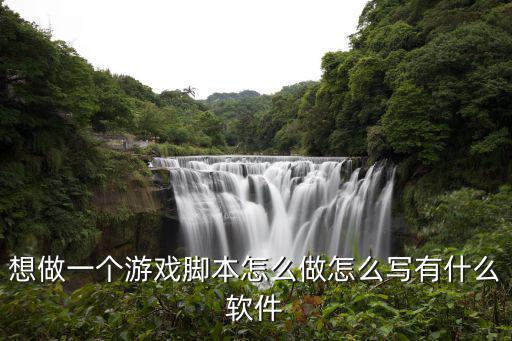 想做一个游戏脚本怎么做怎么写有什么软件