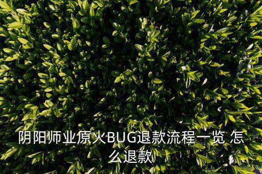 阴阳师业原火BUG退款流程一览 怎么退款