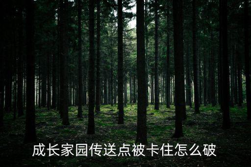 成长家园传送点被卡住怎么破