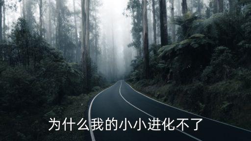 为什么我的小小进化不了