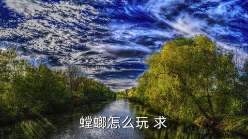 螳螂怎么玩 求