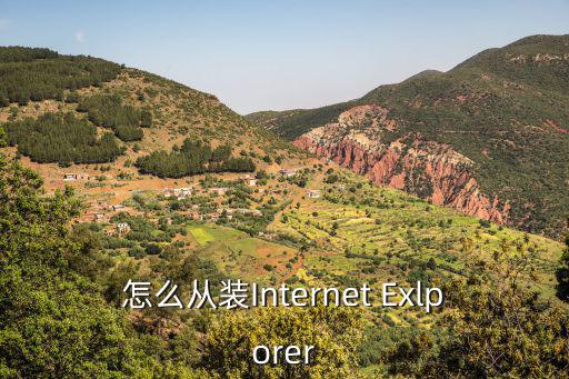 怎么从装Internet Exlporer