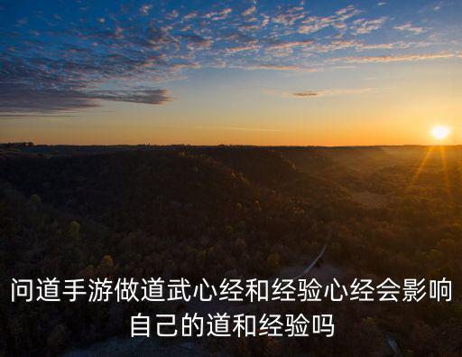 问道手游做道武心经和经验心经会影响自己的道和经验吗