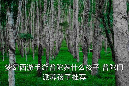 梦幻西游手游普陀养什么孩子 普陀门派养孩子推荐