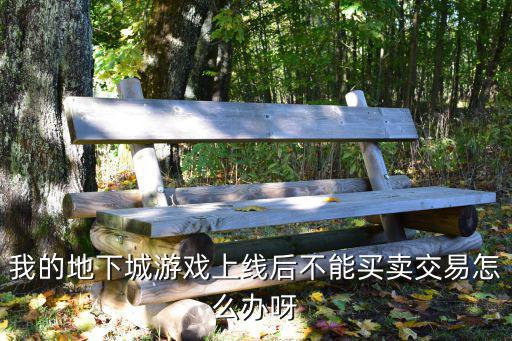 我的地下城游戏上线后不能买卖交易怎么办呀