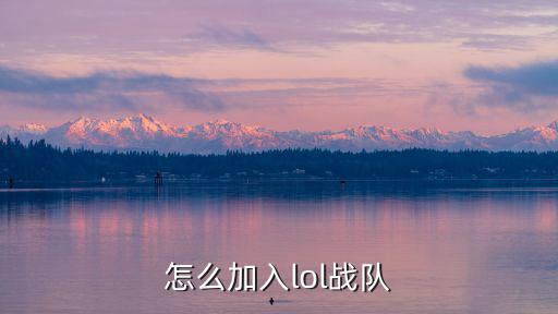 lol手游宝典怎么加入，lol怎么加入战队