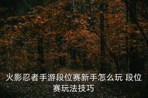 火影忍者手游红盾教学怎么玩，腾讯火影忍者手游怎么在电脑上玩 手游电脑版安装攻略