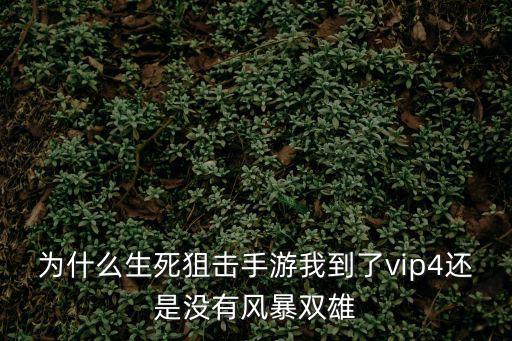 手游生死狙击风暴双雄怎么合成，生死狙击怎样得角色