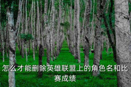 怎么才能删除英雄联盟上的角色名和比赛成绩