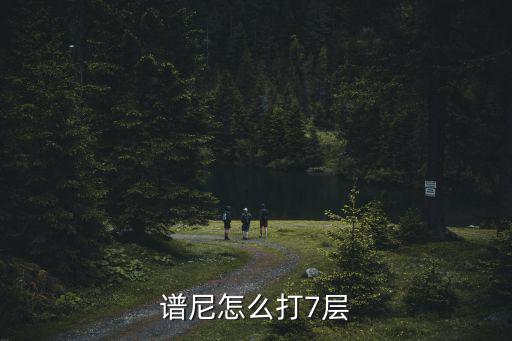 谱尼怎么打7层