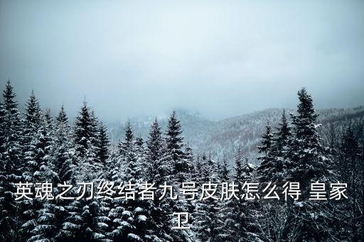 英魂之刃手游守卫皮肤怎么得，英魂之刃终结者九号皮肤怎么得 皇家卫