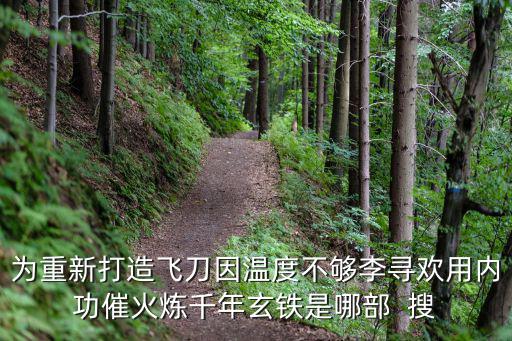 为重新打造飞刀因温度不够李寻欢用内功催火炼千年玄铁是哪部  搜