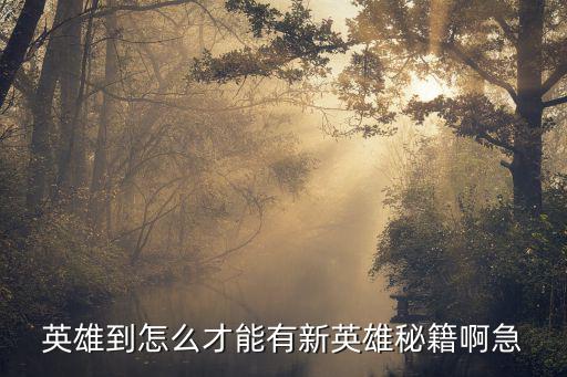 英雄到怎么才能有新英雄秘籍啊急