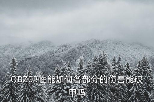 QBZ03性能如何各部分的伤害能破甲吗