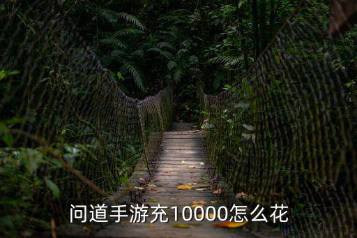 问道手游充10000怎么花