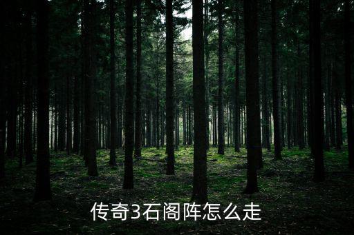 传奇3手游石阁怎么走法图解，传奇3的石阁庙7打黑野猪地图是怎么走的