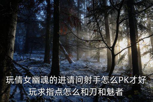 玩倩女幽魂的进请问射手怎么PK才好玩求指点怎么和刀和魅者