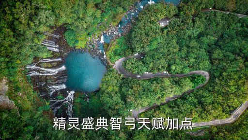 精灵盛典智弓天赋加点