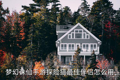 手游猫咪香炉特效怎么触发，安卓手机做猫