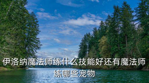 伊洛纳魔法师练什么技能好还有魔法师练哪些宠物