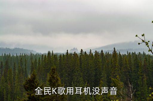 手游全民k歌戴耳机怎么没有声音，全民K歌用耳机没声音