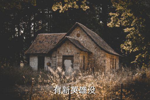有新英雄没