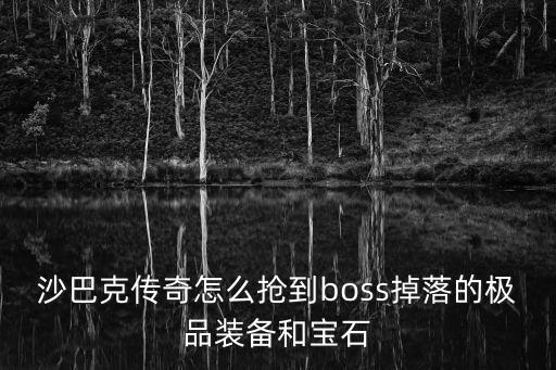 沙巴克传奇怎么抢到boss掉落的极品装备和宝石