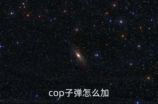 cop子弹怎么加