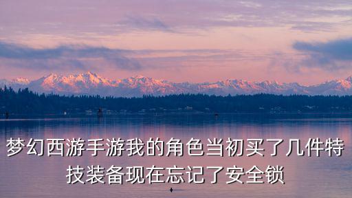 梦幻西游手游我的角色当初买了几件特技装备现在忘记了安全锁