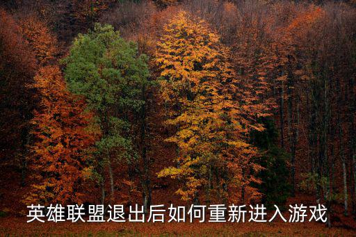 英雄联盟退出后如何重新进入游戏