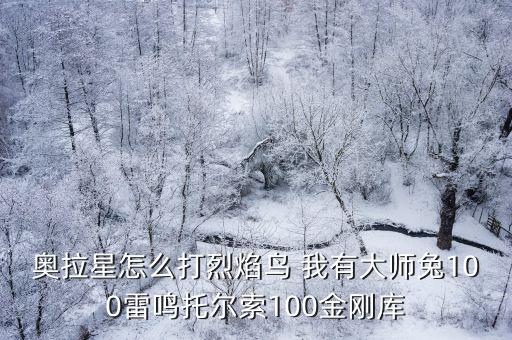 奥拉星怎么打烈焰鸟 我有大师兔100雷鸣托尔索100金刚库