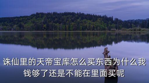 诛仙里的天帝宝库怎么买东西为什么我钱够了还是不能在里面买呢