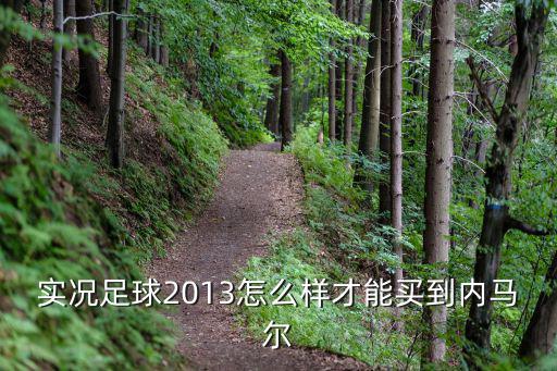 实况足球2013怎么样才能买到内马尔