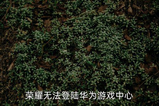 荣耀无法登陆华为游戏中心