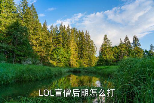 手游瞎子后期怎么打，LOL盲僧后期怎么打