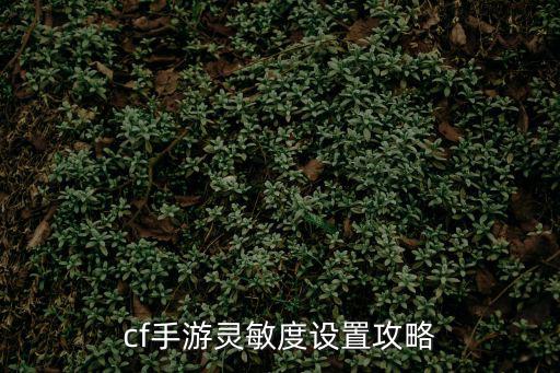 cf手游灵敏度设置攻略