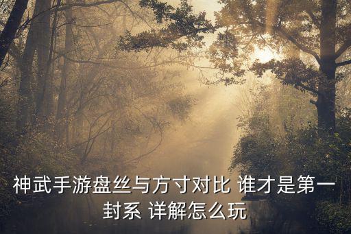 神武手游盘丝与方寸对比 谁才是第一封系 详解怎么玩