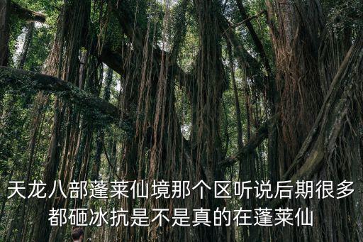 蓬莱仙境手游暴戾追击书怎么来的，大话西游2蓬莱仙境什么时候出来的