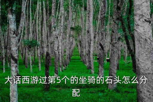 大话手游石块顺序怎么看，大话西游过第5个的坐骑的石头怎么分配