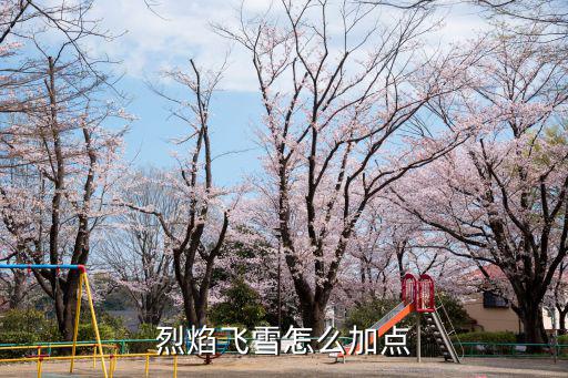 烈焰飞雪怎么加点