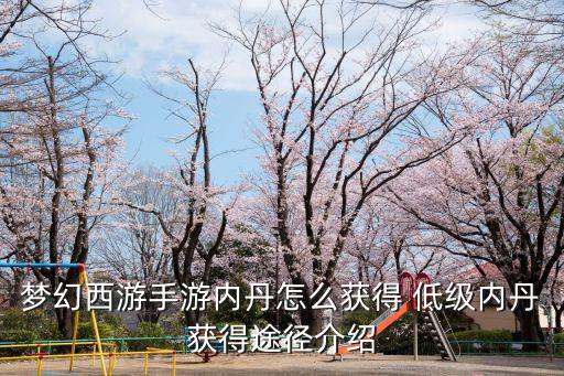 梦幻西游手游内丹怎么获得 低级内丹获得途径介绍