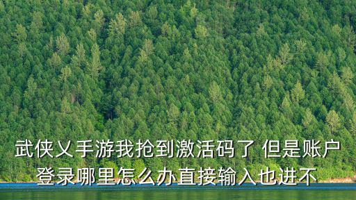 武侠乂手游我抢到激活码了 但是账户登录哪里怎么办直接输入也进不