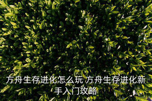 方舟生存进化怎么玩 方舟生存进化新手入门攻略