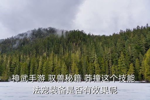 神武手游 驭兽秘籍 莽撞这个技能 法宠装备是否有效果呢