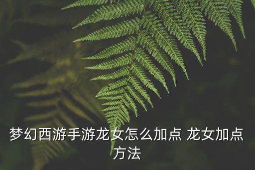梦幻西游手游龙女怎么加点 龙女加点方法