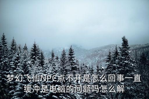 梦幻飞仙NPC点不开是怎么回事一直缓冲是电脑的问题吗怎么解