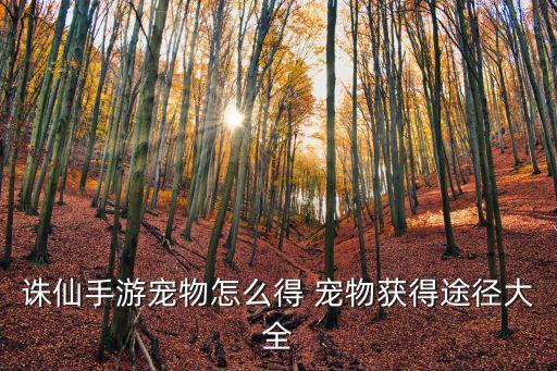 诛仙手游宠物怎么得 宠物获得途径大全