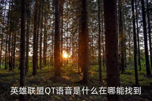 英雄联盟QT语音是什么在哪能找到
